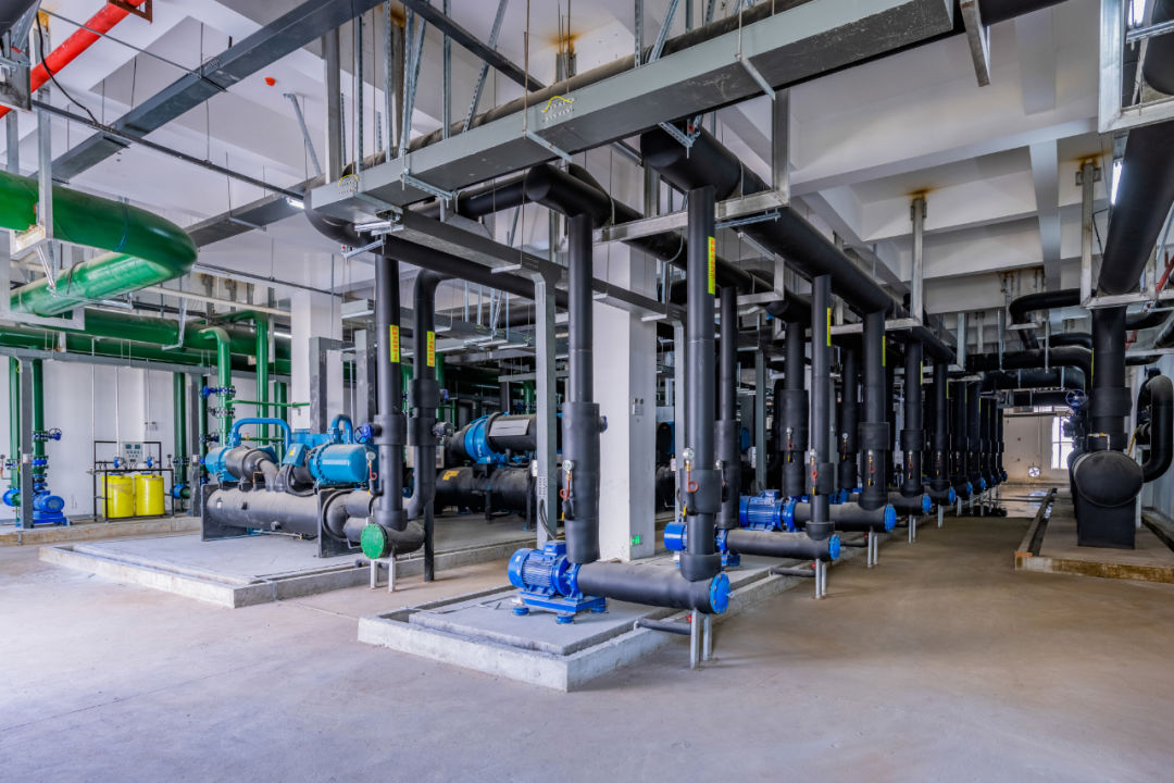 1681460482499051.jpg 1681460482499051.jpg