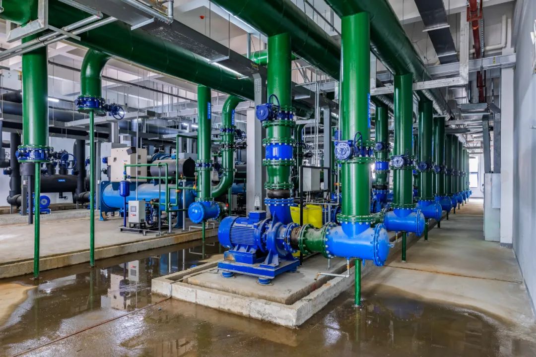 1681460482606145.jpg 1681460482606145.jpg