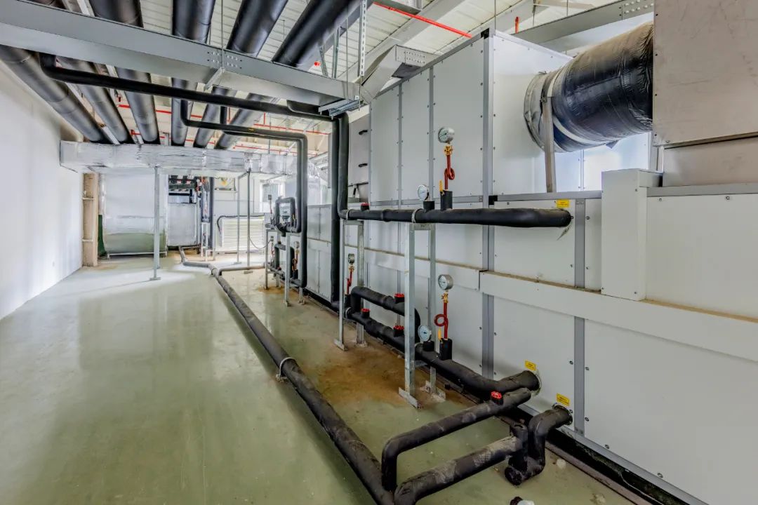 1681460482968055.jpg 1681460482968055.jpg